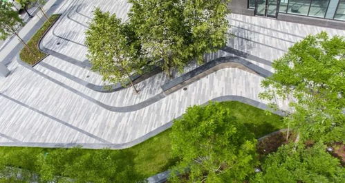 一棵樹,一片池,一個造型,變美景 旅游 網(wǎng)